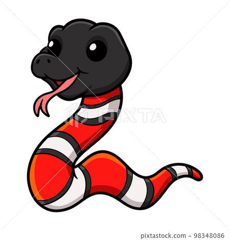 Cute milk snake or milksnake cartoon 98348086