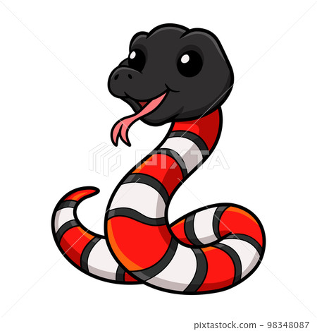 Cute milk snake or milksnake cartoon Cute milk snake or milksnake cartoon 98348087