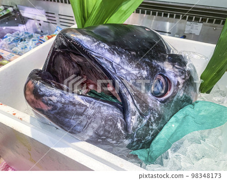 Tuna's head 98348173