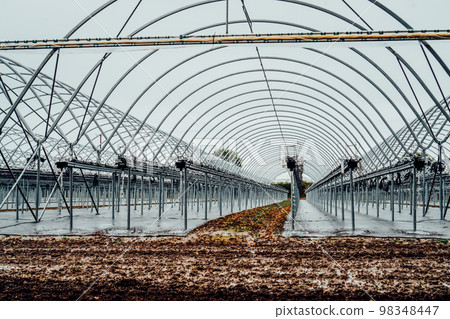 Interior of modern hothouse with an advanced system of irrigation and plant care in off-season. Polytunnel and growing system during winter. Selective focus. 98348447