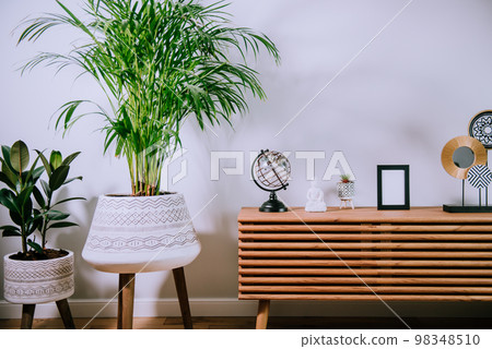 Scandinavian home interior with decorative accessories standing on a wooden cabinet. Minimalist design in interior of room with green plants and white wall with copy space. Biophilia style Scandinavian home interior with decorative accessories standing on a wooden cabinet. Minimalist design in interior of room with green plants and white wall with copy space. Biophilia style 98348510