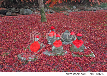 大寧農的秋葉 98348692