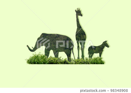 World Wildlife Day 98348908