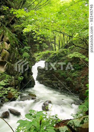 The Daimon River, which flows cleanly through the deep green mountains of the Kiyosato Plateau in Yamanashi Prefecture, originating from melted snow in Koshu and Yatsugatake. 98349746