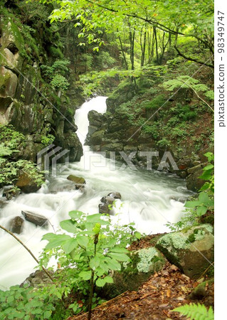 The Daimon River, which flows cleanly through the deep green mountains of the Kiyosato Plateau in Yamanashi Prefecture, originating from melted snow in Koshu and Yatsugatake. 98349747