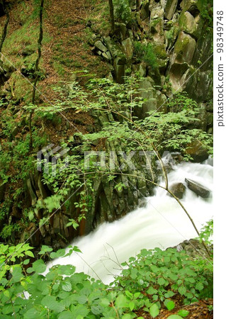 The Daimon River, which flows cleanly through the deep green mountains of the Kiyosato Plateau in Yamanashi Prefecture, originating from melted snow in Koshu and Yatsugatake. 98349748