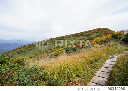 Asakusa-dake on the border of Niigata and Fukushima Prefectures View of the summit from Mt. Mae-dake to the summit of Mt. Asakusa October 3, 2022 98350008