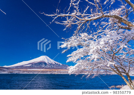 (山梨縣)富士山希望從積雪覆蓋的山區湖畔 (山梨縣)富士山希望從積雪覆蓋的山區湖畔 98350779