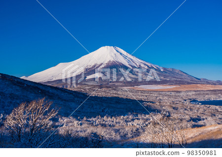 (Yamanashi Prefecture) Mt. Fuji desiring from snow-covered panorama of Yamanakako 98350981