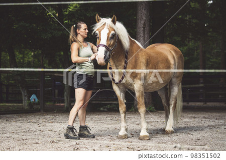 Woman grooming her horse, inside the fence on the ranch 98351502