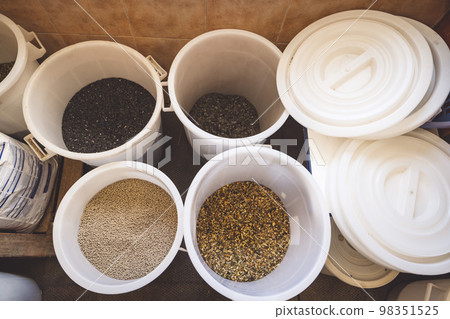 A look inside buckets full of grain for horses to eat 98351525