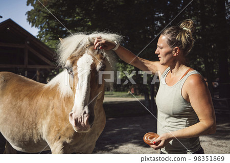 Woman trainer grooming the horses hair, starting to braid them in a braid 98351869