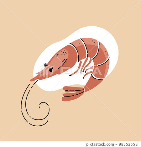 Vector illustration of an orange shrimp in a doodle style on a white background. 98352558