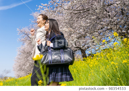 A high school girl walking with her teacher under the cherry blossoms in full bloom A high school girl walking with her teacher under the cherry blossoms in full bloom 98354533