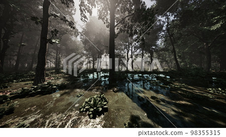 Autumn sunny day in the swamp 98355315