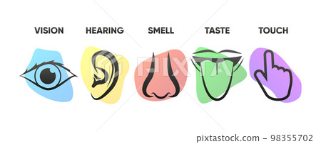 Icon set of five human senses sight, hearing, smell, taste, touch. The concept of human feelings. Simple line icons and color circles. Vector illustration. Icon set of five human senses sight, hearing, smell, taste, touch. The concept of human feelings. Simple line icons and color circles. Vector illustration. 98355702