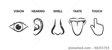 Icon set of five human senses sight, hearing, smell, taste, touch. The concept of human feelings. Simple line icons. Vector illustration. Icon set of five human senses sight, hearing, smell, taste, touch. The concept of human feelings. Simple line icons. Vector illustration. 98355703