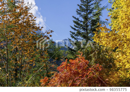 Colorful autumn trees in Belianske Tatras. Colorful autumn trees in Belianske Tatras. 98355775