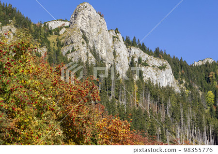 Belianske Tatras in autumn. Slovakia. 98355776