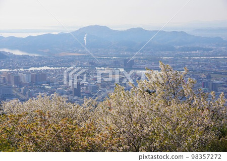 德島縣 從眉山眺望飛坊山與櫻花 德島縣 從眉山眺望飛坊山與櫻花 98357272