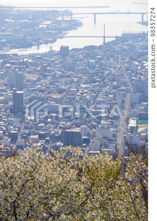 德島市 從眉山看櫻花台末廣台橋和昭和町 德島市 從眉山看櫻花台末廣台橋和昭和町 98357274