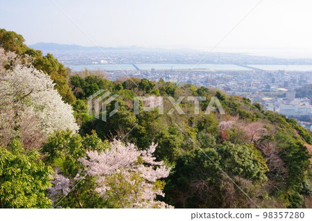 德島市 從眉山看櫻花的鳴門和淡路島 德島市 從眉山看櫻花的鳴門和淡路島 98357280