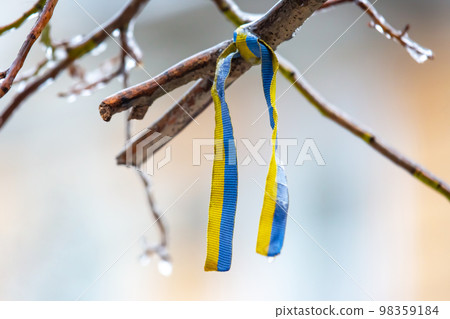 ribbon of the Ukrainian flag on a frozen tree ribbon of the Ukrainian flag on a frozen tree 98359184