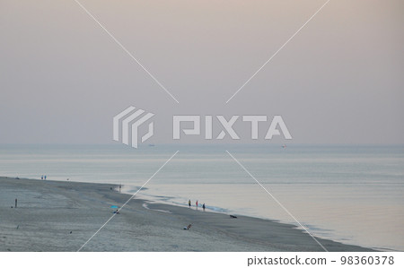 北海的特塞爾島（Texel Island），荷蘭阿姆斯特丹北部，傍晚淡紫色的天空和海灘 98360378