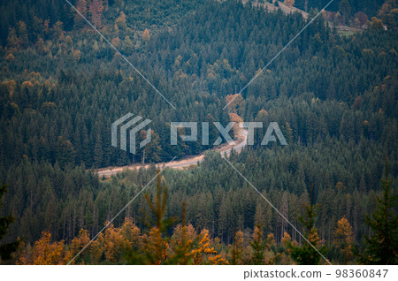 Beautiful colorful autumn trees in the wonderful Carpathians in picturesque Ukraine. 98360847