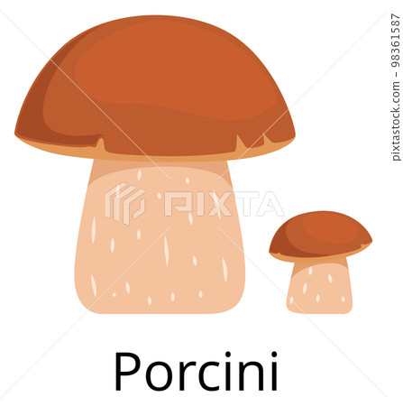 Porchini mushroom icon. Forest nature. Edible fungus Porchini mushroom icon. Forest nature. Edible fungus 98361587