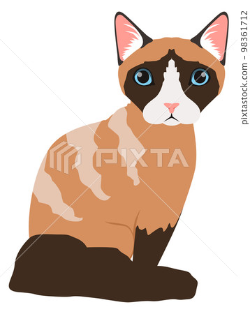 Sitting cat icon. Siamese breed. Domestic animal Sitting cat icon. Siamese breed. Domestic animal 98361712