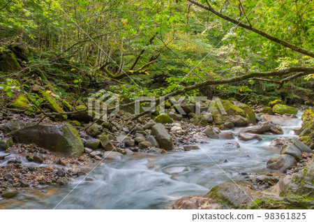 Ao no Keikoku Sukkanzawa 98361825