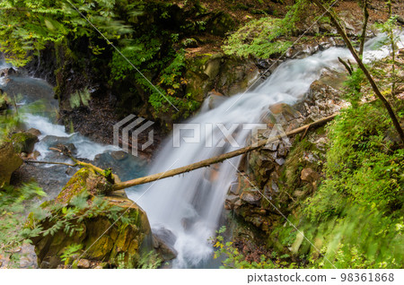 Ao no Keikoku Sukkanzawa Ao no Keikoku Sukkanzawa 98361868