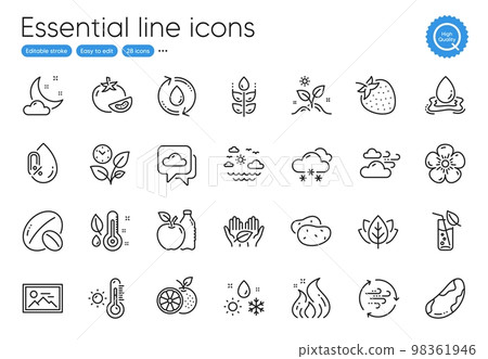 Travel sea, Apple and Fair trade line icons. Collection of Refill water, No alcohol, Snow weather icons. Water glass, Photo, Tomato web elements. Strawberry, Soy nut, Brazil nut. Vector Travel sea, Apple and Fair trade line icons. Collection of Refill water, No alcohol, Snow weather icons. Water glass, Photo, Tomato web elements. Strawberry, Soy nut, Brazil nut. Vector 98361946