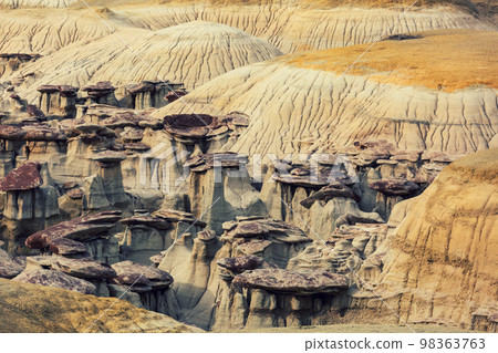 Bisti Bisti 98363763