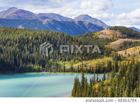 Lake in Canada 98363784