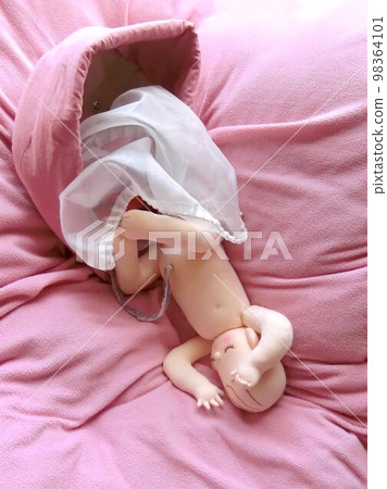 助產/護理/醫療用全尺寸胎兒娃娃 98364101