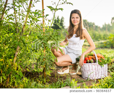 Happy smiling woman with basket of vegetables in the summer garden 98364837