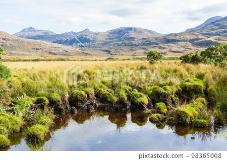Marshlands in the Torridon region of Scotland Marshlands in the Torridon region of Scotland 98365008