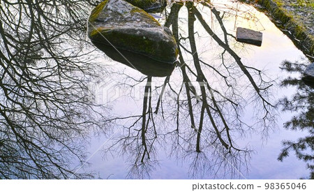 冬季形象灌木叢公園步行道 98365046