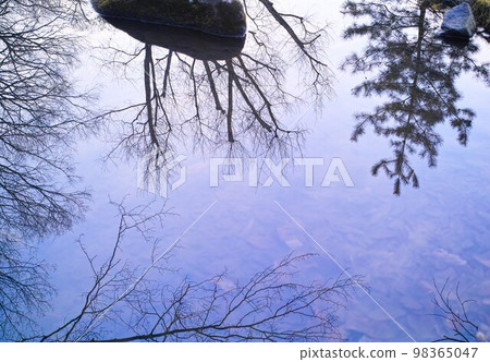 冬季形象灌木叢公園步行道 98365047