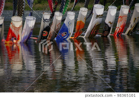 Children's Day tradition Sagami Takada Bridge Approximately 1200 carp streamers Preparations begin, swimming in the river and soaring into the sky 6 98365101