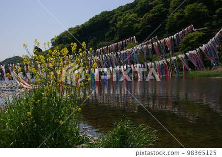 兒童節傳統 相模高田橋 約 1200 條鯉魚旗 準備工作開始，在河中游泳並飛向天空 17 98365125