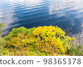 Shore of Loch Ness lake in Scotland 98365378