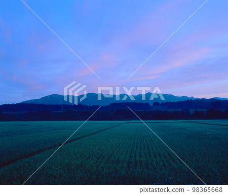 Rural landscape Rural landscape 98365668