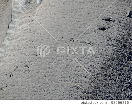 Bird's footprint Bird's footprint 98366816