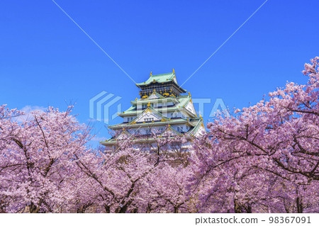 大阪城和西之丸庭園櫻花盛開 98367091