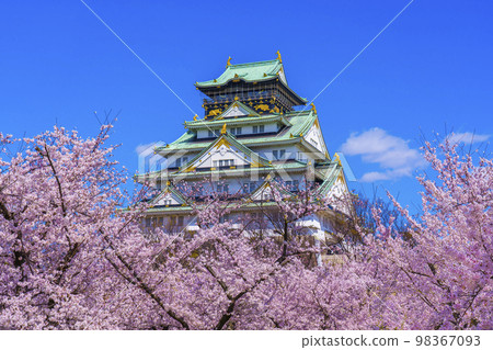 大阪城和西之丸庭園櫻花盛開 98367093