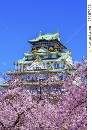 大阪城和西之丸庭園櫻花盛開 98367096
