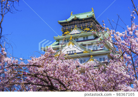 大阪城和西之丸庭園櫻花盛開 98367105